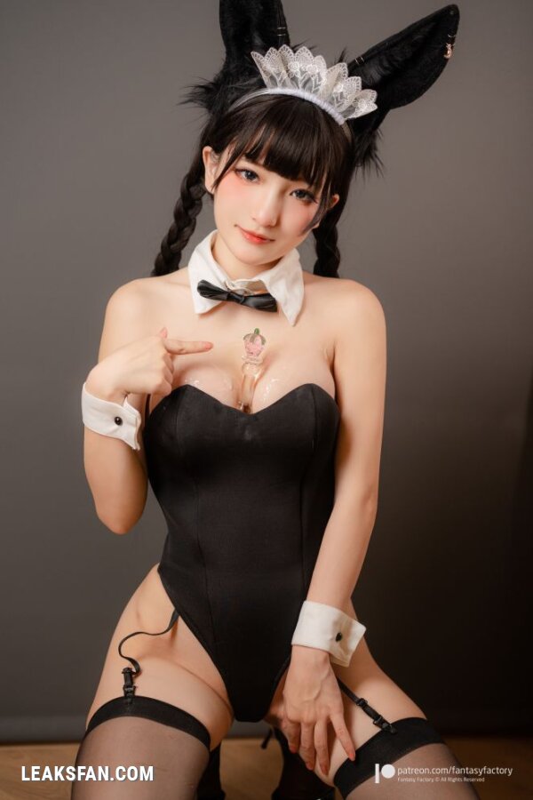 Fantasy Factory - Bunny girl Maid - 12