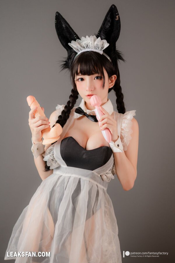 Fantasy Factory - Bunny girl Maid - 1