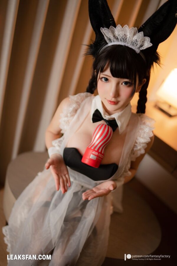 Fantasy Factory - Bunny girl Maid - 1