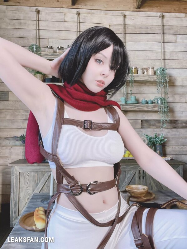 Helly Valentine - Mikasa Ackerman (Shingeki No Kyojin) - 1