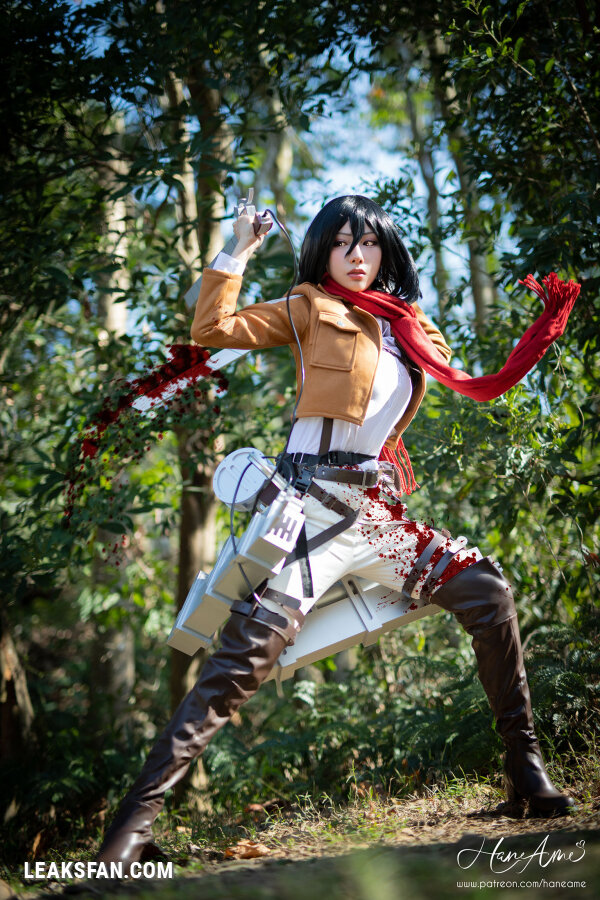 Hane Ame - Mikasa (Shingeki No Kyojin) - 5