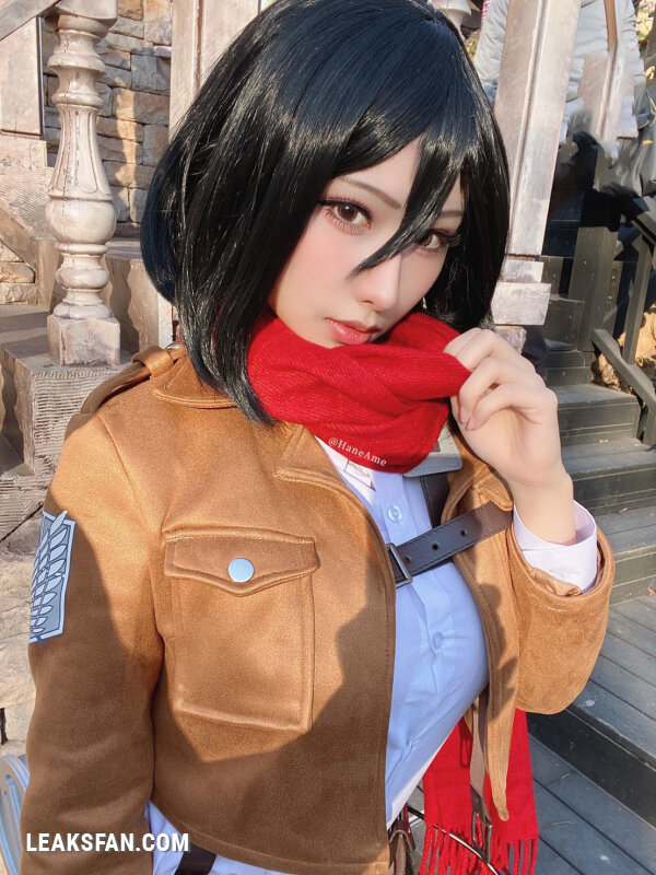 Hane Ame - Mikasa (Shingeki No Kyojin) - 23